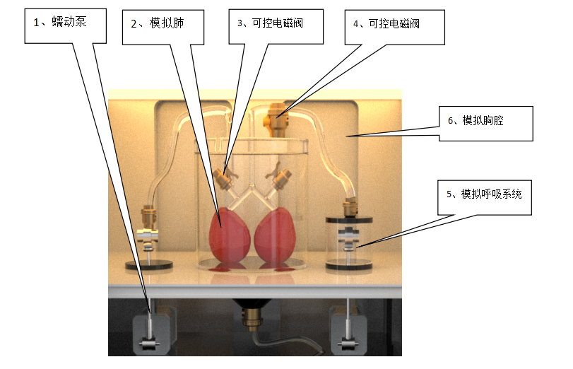 傲穎  人體胸腔模擬試驗(yàn)儀